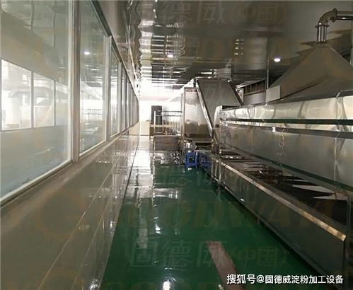 紅薯粉條機(jī)工藝多種多樣,怎樣篩選才不會(huì)入坑